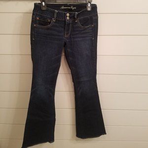 AE American Eagle Artist Super Stretch Jeans Size 6 Short 6S